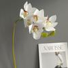 Orquídea magnolia de siete cabezas simulada en 3D, modelo de habitación moderna, diseño de recuerdo de boda de celebridades de Internet, flores artificiales decorativas