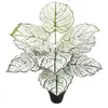 [12 Hojas de Caladio] Plantas Verdes Simuladas, Flores Artificiales y Césped Artificial Hojas Individuales Sala de Estar Embellecimiento del Hogar Oficina