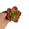 Parede de Fundo com Plantas Suculentas Grama Artificial Suculentas em Vasos Flores de Plástico Decoração de Porta-Retrato 3D Enfeites de Bonsai