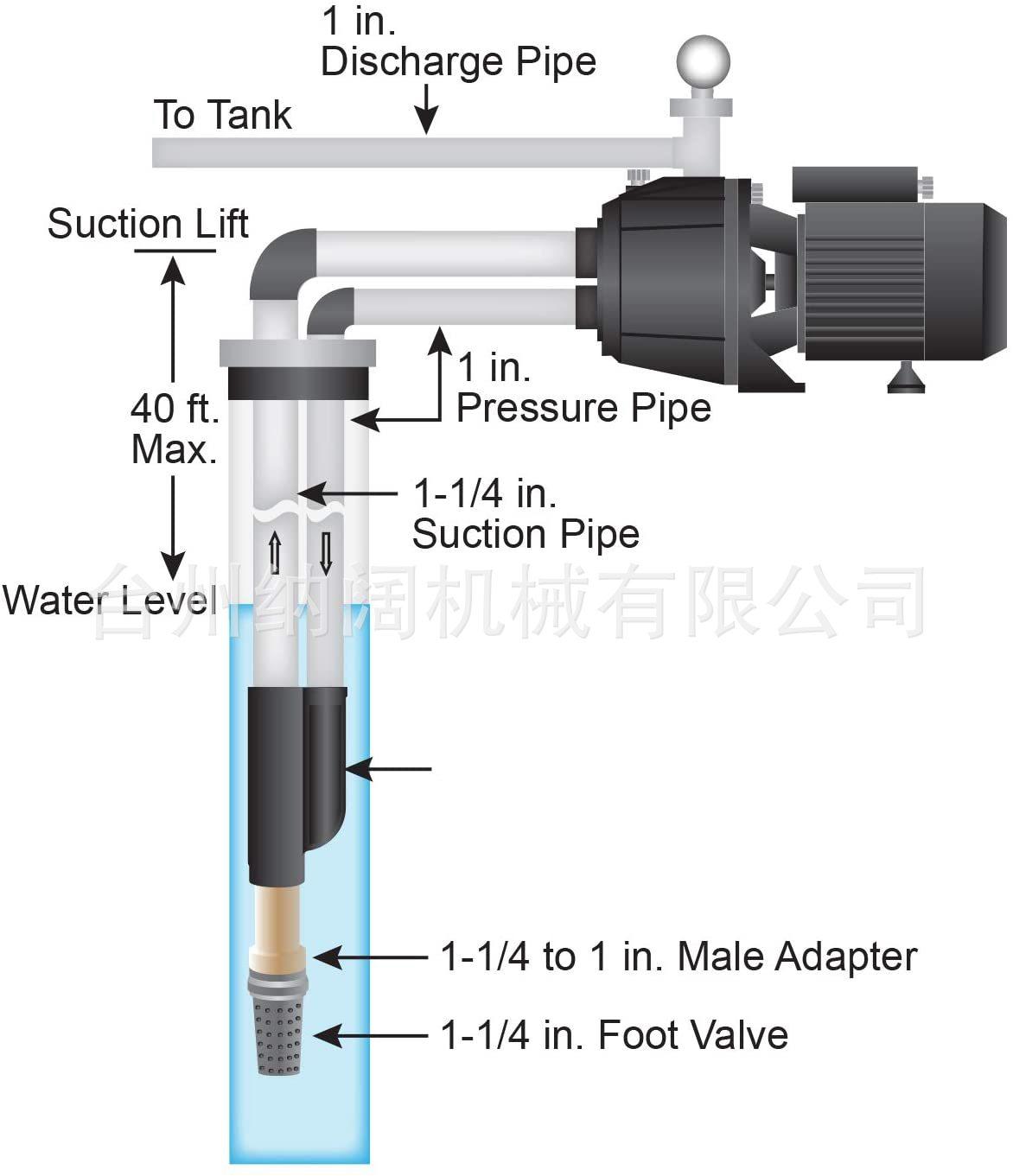 61NZ09mj3VL._AC_SL1500_