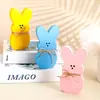 Adornos de Conejo de Pascua de Madera Transfronterizos Adornos de Fiesta Decoración Artesanías de Madera Impresión Madera Pintada