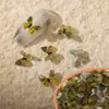 Rhinestones para Uñas Artísticas 3D de Mariposa Transfronterizos, Multicolor, Sencillos y Lindos, Tamaño Pequeño, 32 Estilos, Decoraciones para Uñas Termoencogibles en Forma de Moño