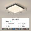 [Rigorosamente Selecionado] Lâmpada de Teto Moderna Simples e Elegante 2025 Novo Modelo Pacote de Iluminação para Toda a Casa Luz Principal Criativa para Hall