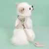 Coleira Peitoral em Forma de Colete para Cães Teddy, Bichon, Cães Pequenos, Peitoral para Gatos, Guia para Coelhos, Atacado de Suprimentos para Animais de Estimação