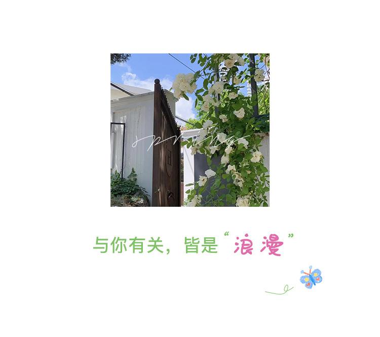 详情图片_01