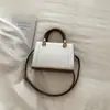 Bolsas de Alta Gama para Mujer 2026 Primavera Nuevo Estilo Bolso de Hombro para Viajes Cotidianos Moda Diseño Sencillo de Nicho Bolso de Hombro Único Cruzado