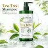 Champú hidratante de árbol de té y aloe vera transfronterizo 500 ml champú cuidado del cabello cabello esponjoso suave y firme champú limpiador de cabello