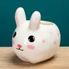 Vaso de cerâmica criativo com animal de desenho animado para planta suculenta, simples, moderno, para jardinagem, combinação fofa de coelho, planta em vaso mini