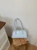 Bolsa Feminina de Axila 2026 Nova Tendência Moda de Alto Padrão Versátil Bolsa de Ombro de Mão Bolsa Almofada para Deslocamento na Primavera