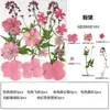 Marcapáginas de flores secas especímenes colección de primavera en botella de película plástica materiales hechos a mano para manualidades estudiantes de primaria flores transparentes