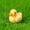 Terrario de musgo, diseño creativo y adorable para alimentar pájaros, paisajismo de jardinería, accesorios decorativos colgantes DIY, adornos en miniatura