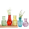 Juego de Jarrones Transparentes de Vidrio con Flores Secas para Sala de Estar y Dormitorio, Juego de Botellas de Vidrio Hidropónico en Relieve, Estilo Europeo Vintage de Boca Estrecha