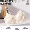 "Dulce Primer Amor" Sujetador sin costuras tipo chaleco para mujer, Sujetador push-up para pechos pequeños, Realza la apariencia, Recoge los laterales del pecho, Previene la flacidez, Sujetador de encaje