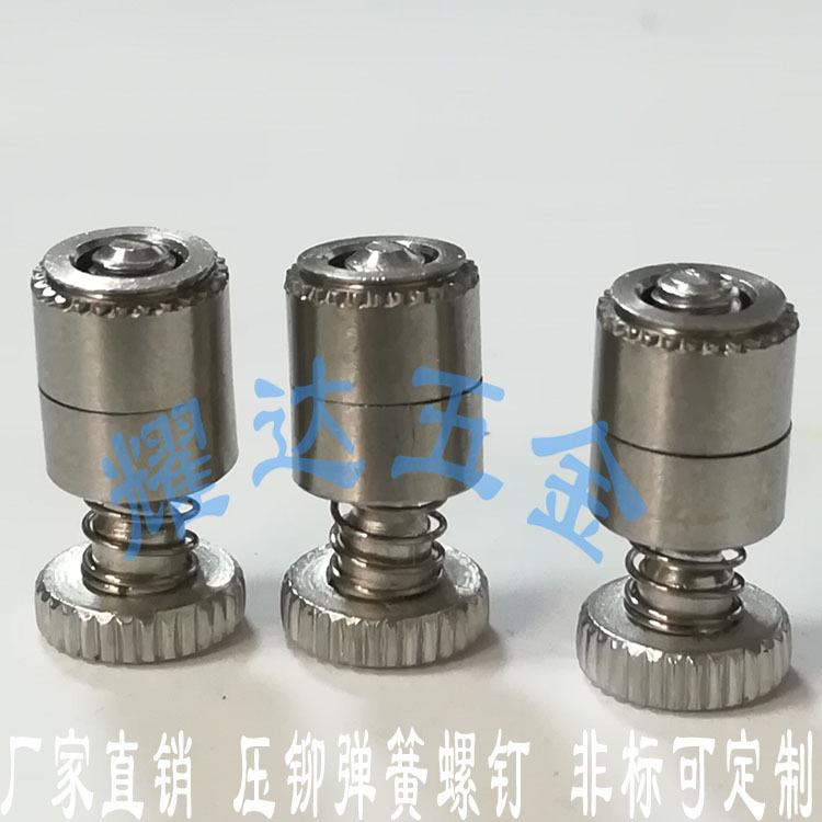 拴式螺钉52-39-51-4压入式弹簧螺钉 (10)