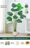 Planta Verde Monstera Bambu Simulação Nórdica Planta Grande Biónica em Vaso Planta Falsa Decoração de Sala de Estar Interna Ornamento de Chão Árvore
