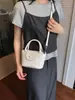 Bolso de Moda Transfronterizo Bolso Pequeño para Mujer Otoño 2026 Nuevo Exquisito Bolso Cruzado Casual Versátil para el Trabajo Bolso de Hombro Único