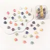 Al por mayor versión coreana de color caramelo dibujos animados clip flor pequeña estrella de cinco puntas pasador de princesa pinza de garra pasador femenino joya en caja