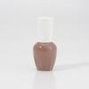 Frasco de gel de esmalte transparente com tampa, pincel para esmalte, sub-frasco de 15ml para líquido