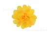 Flor de Zapatos Simulada Accesorios para Ropa Flor de Cabeza de Gasa de 7 cm Flor de Cabeza para Niños DIY Accesorios de Flor para Ropa Multicolor en Stock Venta al por Mayor