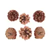 Decorações de Natal mini flor de pinho 1-3cm lariço ornamentos criativos flor seca DIY material decorativo pinha