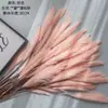 Flores Artificiales, Cañas, Pasto Seco, Flores Falsas, Plantas Verdes, Manualidades para Decoración del Hogar, Venta al por Mayor, Boda, Transfronterizo