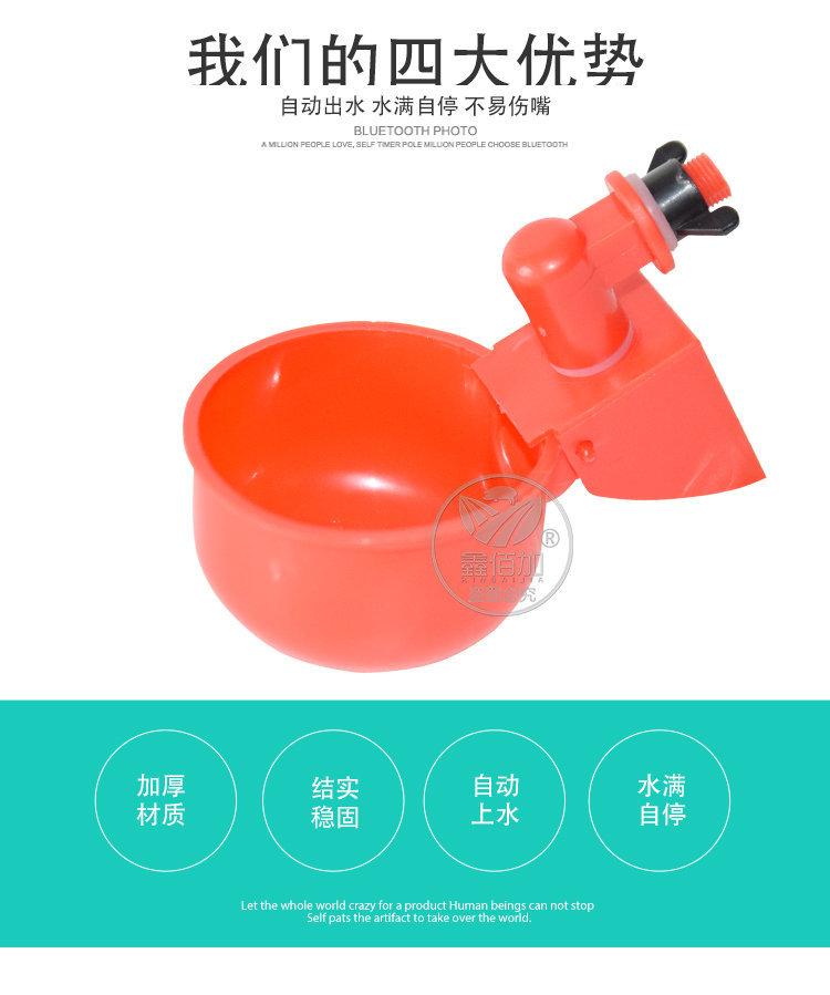 鸡用饮水碗D详情页(2).jpg