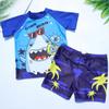 Roupa de Banho Infantil Meninos Crianças Médias e Grandes Roupa de Banho Dividida Meninos Roupa de Banho 2024 Nova Roupa de Banho para Fontes Termais Venda por Atacado