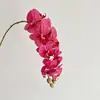 Cabo de cola de alta simulação 9 cabeças Phalaenopsis flor de simulação flor artificial decoração casa quarto armário de TV decoração