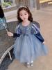 Outono e Inverno 2026 Vestido Princesa Elsa Vestido de Menina Frozen Menininha Aniversário Vestido de Tule com Mangas Bufantes