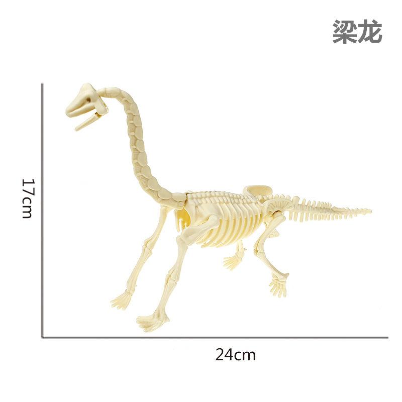 梁龙.jpg
