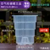 Maceta transparente estética de musgo de sphagnum para orquídeas phalaenopsis, maceta de plástico transpirable para plantas de interior calientes, maceta de resina Qingshan con control de raíces para dendrobium