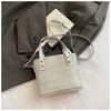 Bolsos de Alta Gama de Nicho para Mujer, Nuevo Bolso Cruzado de Moda Verano 2026, Bolso de Mano Informal Estilo Coreano, Bolso Cubo
