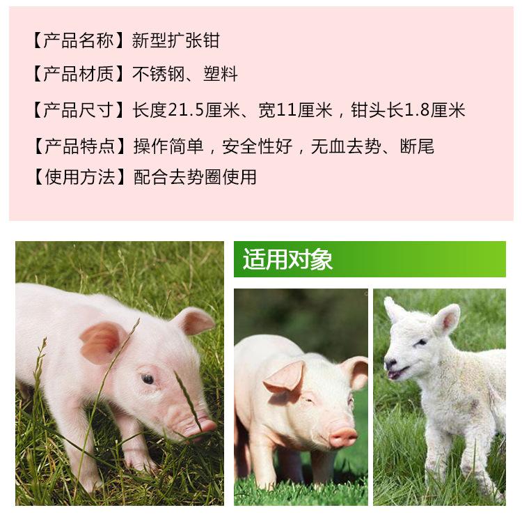详情图_04.jpg