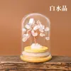 Garrafa de Desejos com Pedras de Cristal Naturais Árvore de Dinheiro de Cristal Paisagem em Miniatura para Desktop Decoração de Casa Enfeites de Cristal Atacado