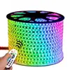 Tiras de luces LED, 110V/220V, RGB, 5050, flexibles, coloridas, para exteriores, impermeables, para iluminación ambiental y proyectos de iluminación decorativa