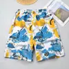 Shorts de Praia Masculino de Verão, Calças Capris Masculinas, Calças Médias de Tamanho Grande, Calças Casuais Grandes, Calças de Secagem Rápida