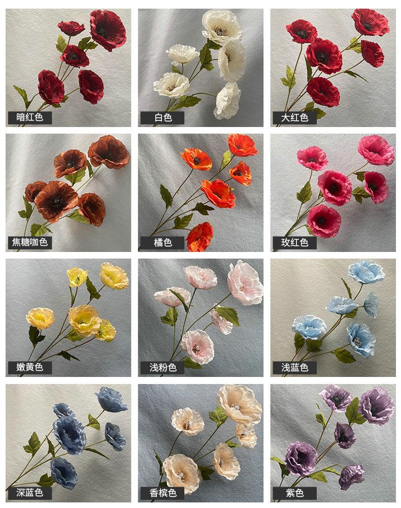 产品颜色.jpg