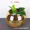 Atacado caixa inteira de fábrica vaso de vidro redondo Flor de Gelo banhado a ouro prata arranjo de flores de casamento vaso de vidro soprado craquelado