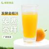 Sabor Especial Aroma a Kumquat Jugo de Kumquat Fresco Fermentado 19Bx Sabor Ácido Ingrediente Crudo Bebida de Té Ingrediente para Hornear Fabricante