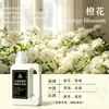 Líquido de Recarga para Aromaterapia Aroma a Té Grado Hotelario Aroma sin Llama Aceite Esencial Líquido de Recarga Fragancia para Dormitorio Desodorante para el Hogar