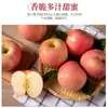 Maçãs Autênticas de Yantai, Qixia Red Fuji, Frutas Frescas Crocantes e Doces, Caixa Completa, Entrega Direta do Local de Origem, Frete Grátis para Uma Peça, Transfronteiriço