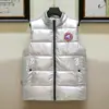 Chaleco Brillante Europeo Transfronterizo Lavable para Hombre de Algodón Plumón con Cuello Vertical Talla Grande Casual Chaleco Superior Combinable