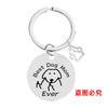 Llavero de acero inoxidable con grabado de tarjeta de identificación para perros, disponible en Europa y América, para amantes de los perros y personas que los han perdido. Llavero de acero de titanio con grabado de mascota.