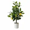 Árvore de Oliva Artificial Transfronteiriça, Grande Planta Verde Falsa, Planta Falsa em Vaso, Árvore de Pintura Desmontável, Limoeiro, Bonsai de Camélia, Decoração de Chão