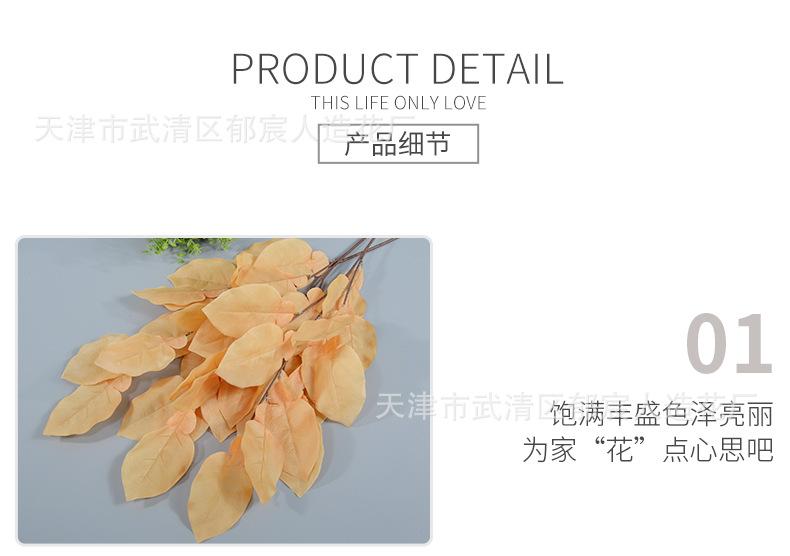 详情_09.png
