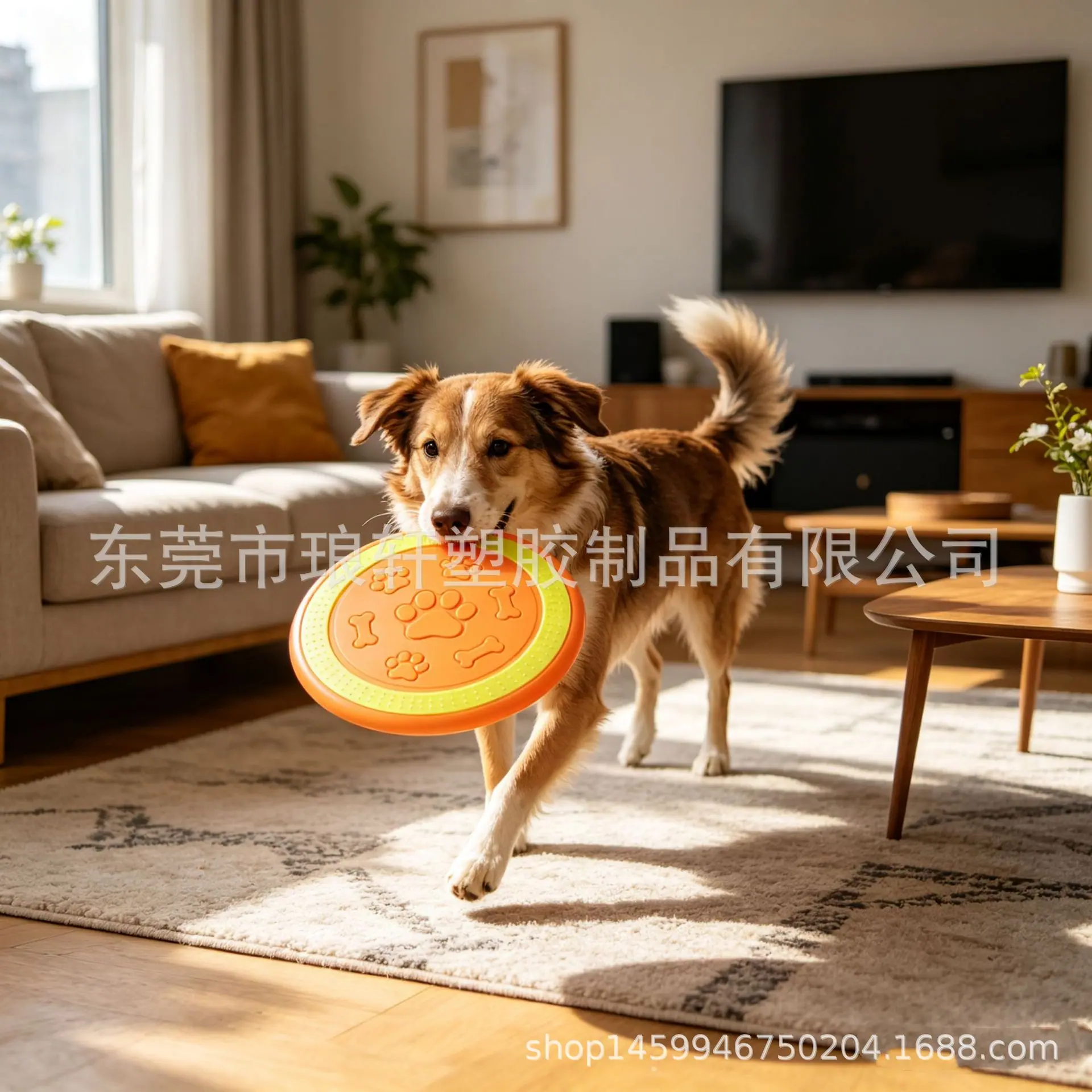 微信图片_20260525195035_1765_152