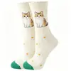 Novas Meias Originais Femininas da Amazon, Meias de Animais, Meias de Frutas, Meias de Cano Médio, Meias da Moda, Meias Divertidas de Desenho Animado Transfronteiriças em Estoque