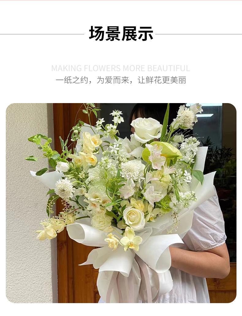 纯色纸_06.jpg