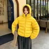 Chamarra Corta de Algodón con Capucha y Costillas Estilo Invierno 2026 para Mujer, Estilo Coreano, Ligera, Mismo Material por Dentro y por Fuera