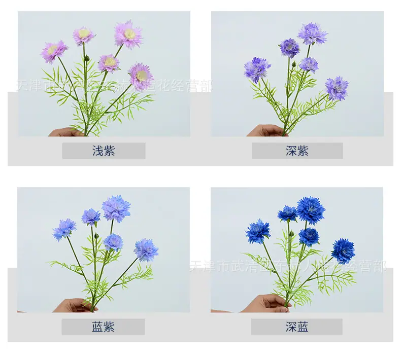 详情_04.jpg